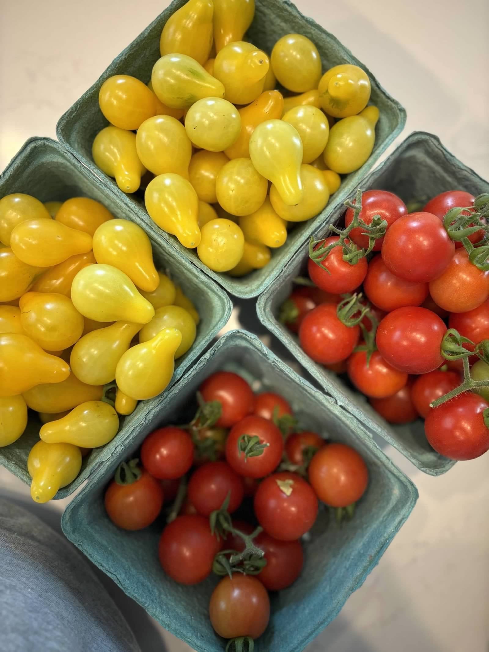 How to Grow Tomatoes Naturally Without Synthetic Fertilizer