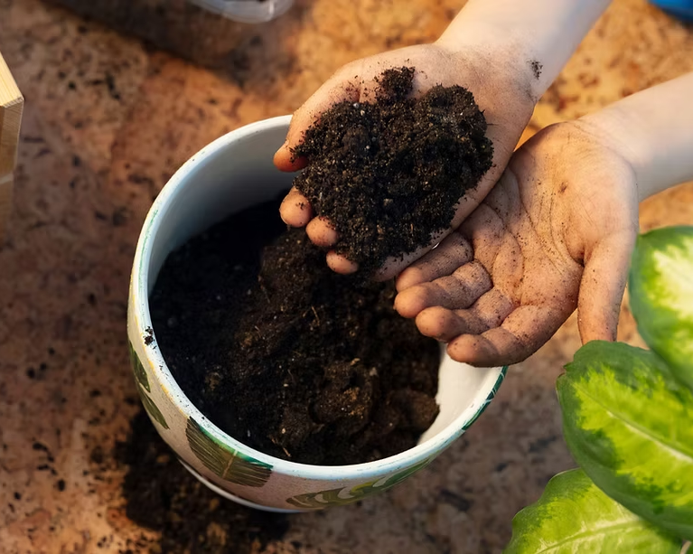 How to Improve Garden Soil Without Over Fertilizing