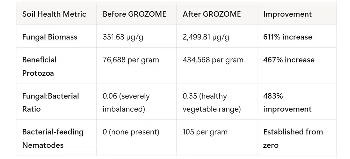 How to Improve Soil Naturally (Fast + Simple)