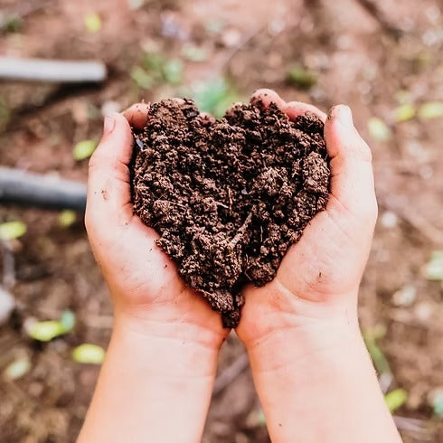 Healthy Soil, Healthy Habits