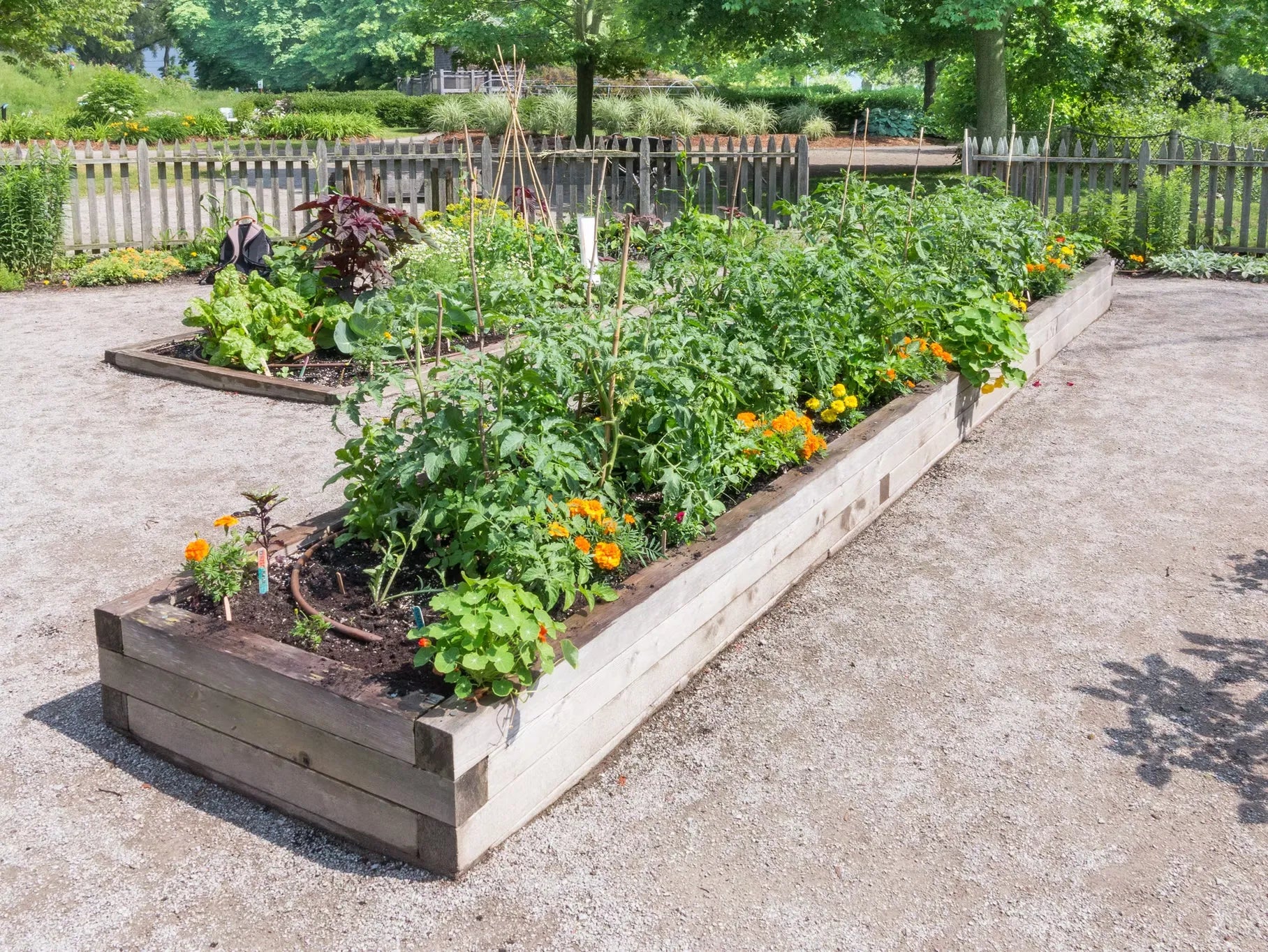 How to Improve Your Garden Soil Naturally