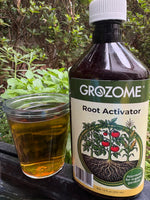 Root Activator