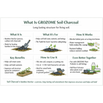 Soil Charcoal