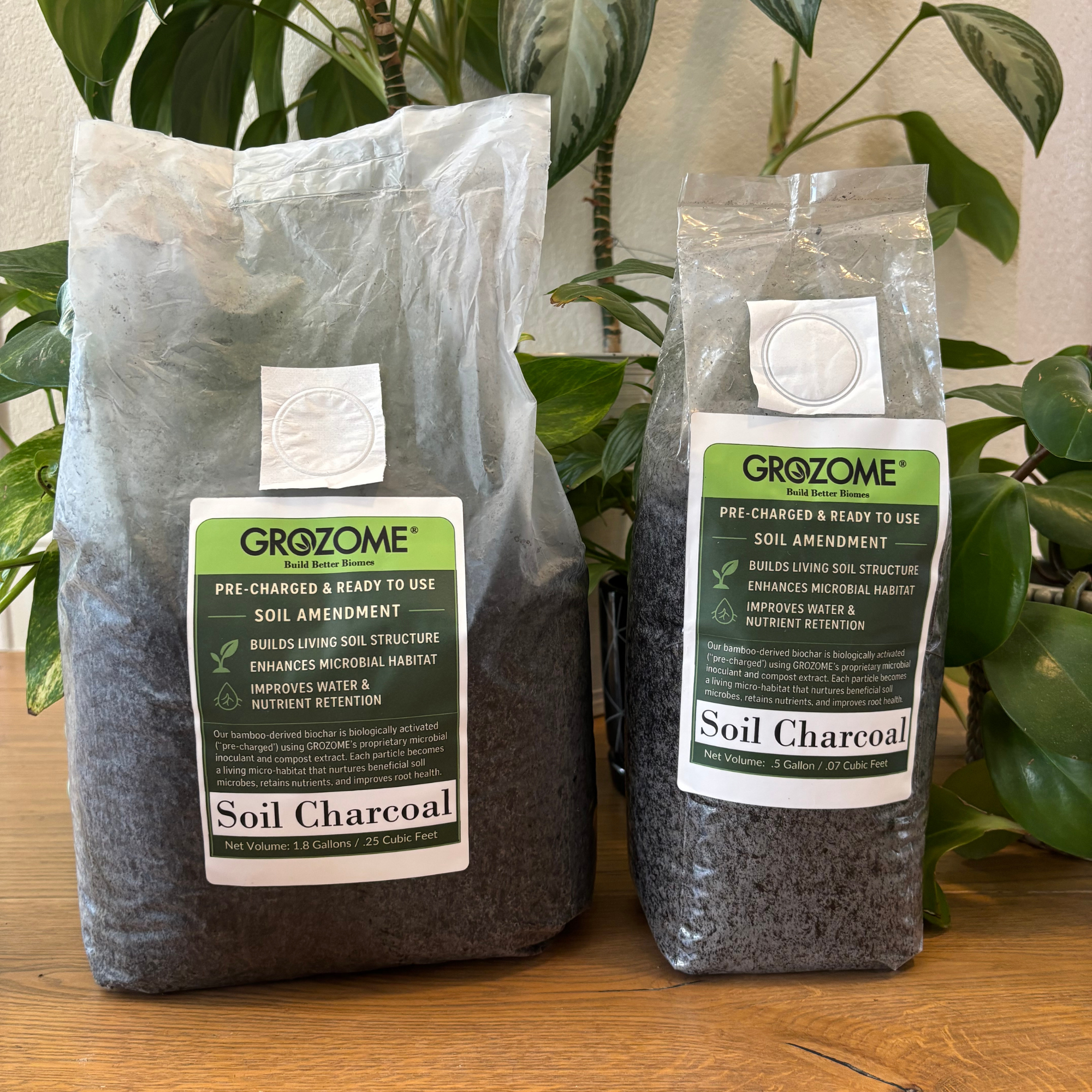 Soil Charcoal