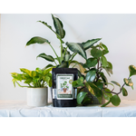 GROZOME Mini Instant Plant Probiotics (8 oz)