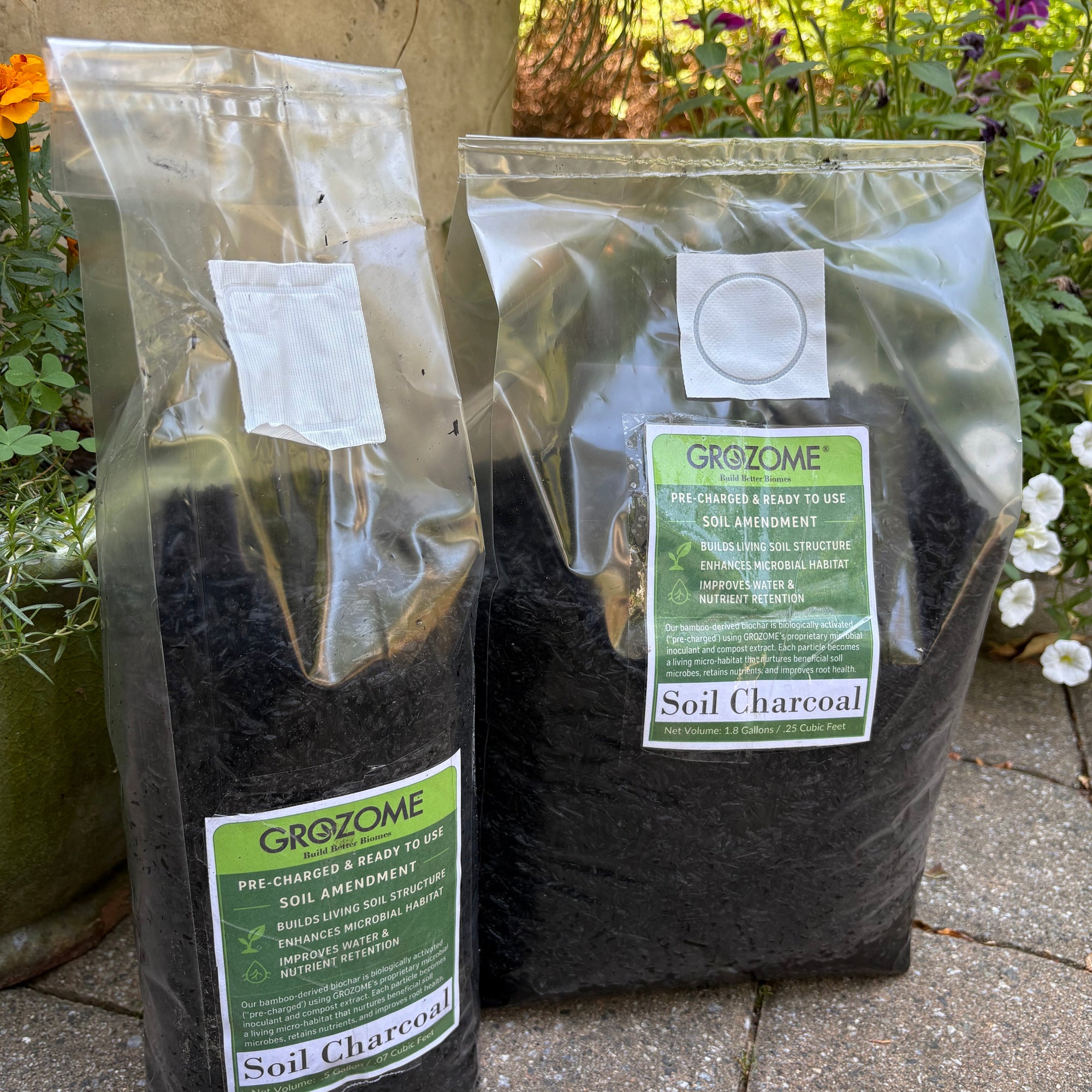 Soil Charcoal