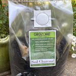 Soil Charcoal