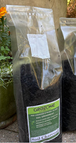 Soil Charcoal