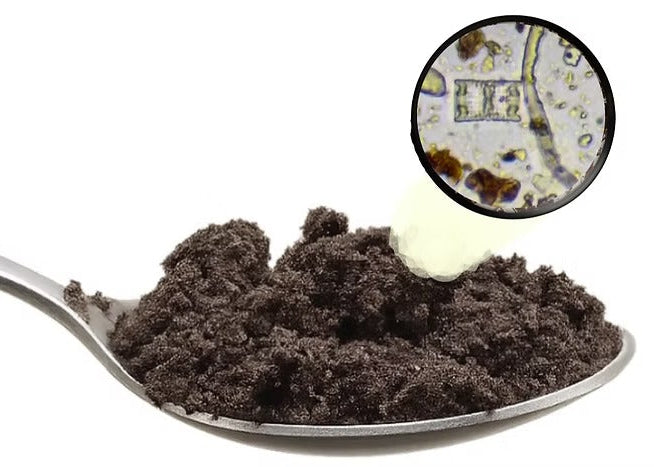 Spoonful of GROZOME Compost with a magnified inset showing particle details.
