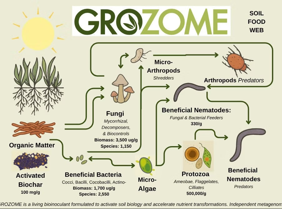 Diagram of a soil food web with GroZome branding and text.